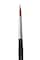 12 Pack: Princeton™ Aqua Elite™ Series 4850 Short Handle Long Round Brush